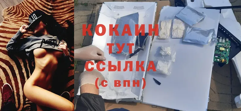 Кокаин Fish Scale Липецк