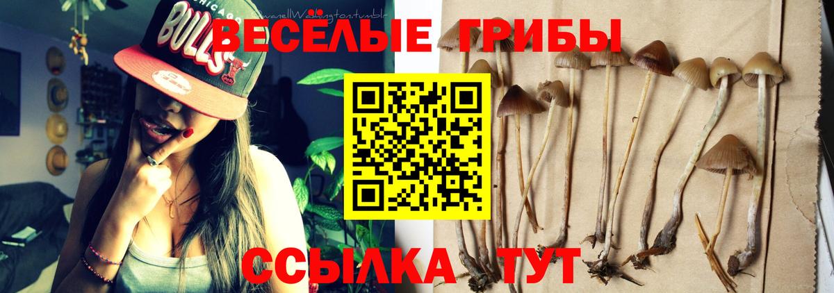 Псилоцибиновые грибы GOLDEN TEACHER Липецк